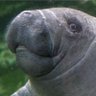 Degen Alan's profile picture