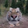 AidenAde's profile picture