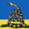 SaintBeaver 🇺🇦🇮🇪 profil fotoğrafı