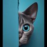 cha cha cha's profile picture