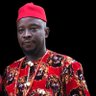 Profilbild von Odogwu Ugonwanne