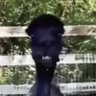 Profilbild von Andrew ken