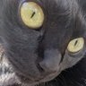 桃のり profil fotoğrafı