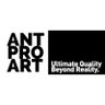 ANT.PRO.ARTยฎ ็ๅคดๅ