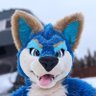 Фото профиля Literal Dog Bowl 🔜 ANE, FWA