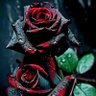 Фото профиля kader le roi