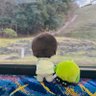 にかみん💚 的头像