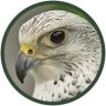 حُرْ's profile picture