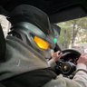 Profilbild von 那就这样吧