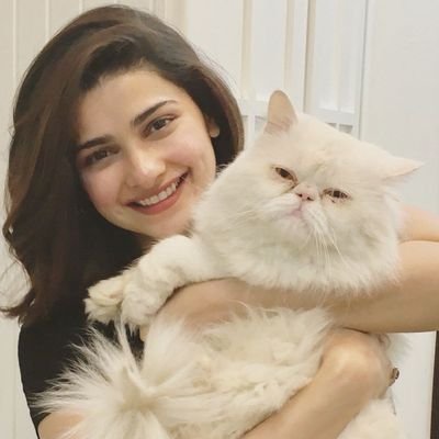 Musiikhan786's profile picture