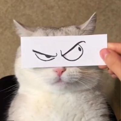 G.'s profile picture