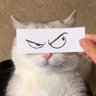 행운 profil fotoğrafı