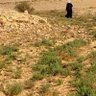 زيد الشبانات 的头像