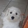 Фото профиля ♍️Maddie Barringer Cuyuch Argueta ♍️