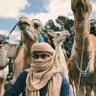 وطني ود القناص 的头像