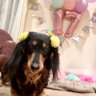 ともぴん's profile picture