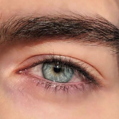 javier's profile picture
