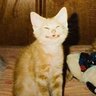 Profilbild von ™