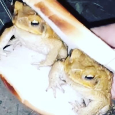 Blainnit23's profile picture