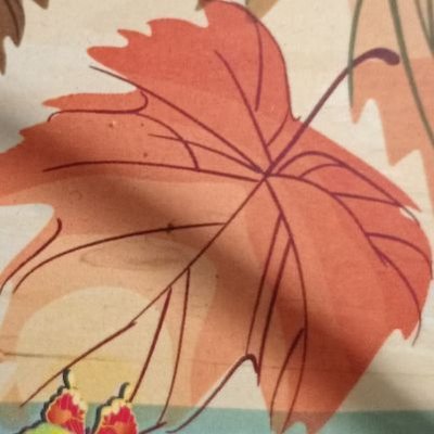 Wipu's profile picture