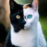 Latif Karagöz🇹🇷 profil fotoğrafı