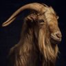 GŌATFATHER™ profil fotoğrafı