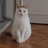 Фото профиля meral karadağ