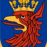 Dariusz Morales's profile picture
