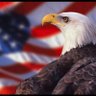 Mimi The Patriot 的头像