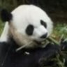 Profilbild von wxq