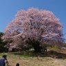 タミー profil fotoğrafı
