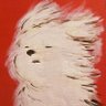 Profilbild von Mayzarah