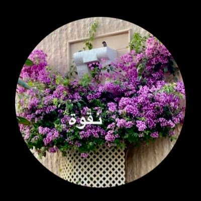 نقـوة 🇸🇦🧔🏻🌲's profile picture