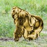 女を信じろ profil fotoğrafı