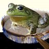 FroggyZombie profil fotoğrafı