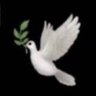 Фото профиля Whitebird09 🇺🇸🇨🇮🇬🇧