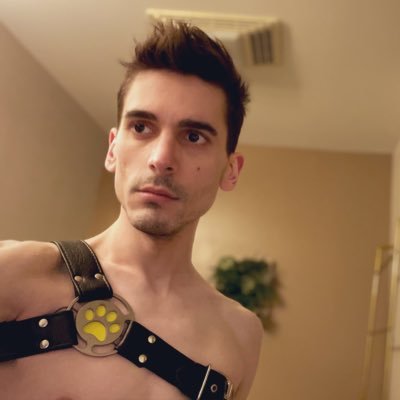 TheSkylarSteele's profile picture