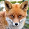 Profilbild von Mscarbo