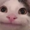 xelfroD's profile picture