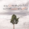 izhar.uddin 的头像