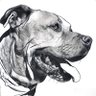 this_is_easy's profile picture