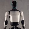 botbot's profile picture