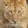 Sandi j.'s profile picture