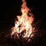 wildfire1600 profil fotoğrafı
