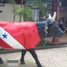 Vaquinha da Estacão's profile picture