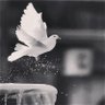 𝒩𝒪ℛ𝒜ℋ🖤 profil fotoğrafı