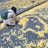 Фото профиля 蝦米Ebi