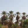 Neelbrou~ profil fotoğrafı