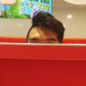 Profilbild von Muhammad b