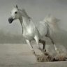 روح الأمل ..'s profile picture
